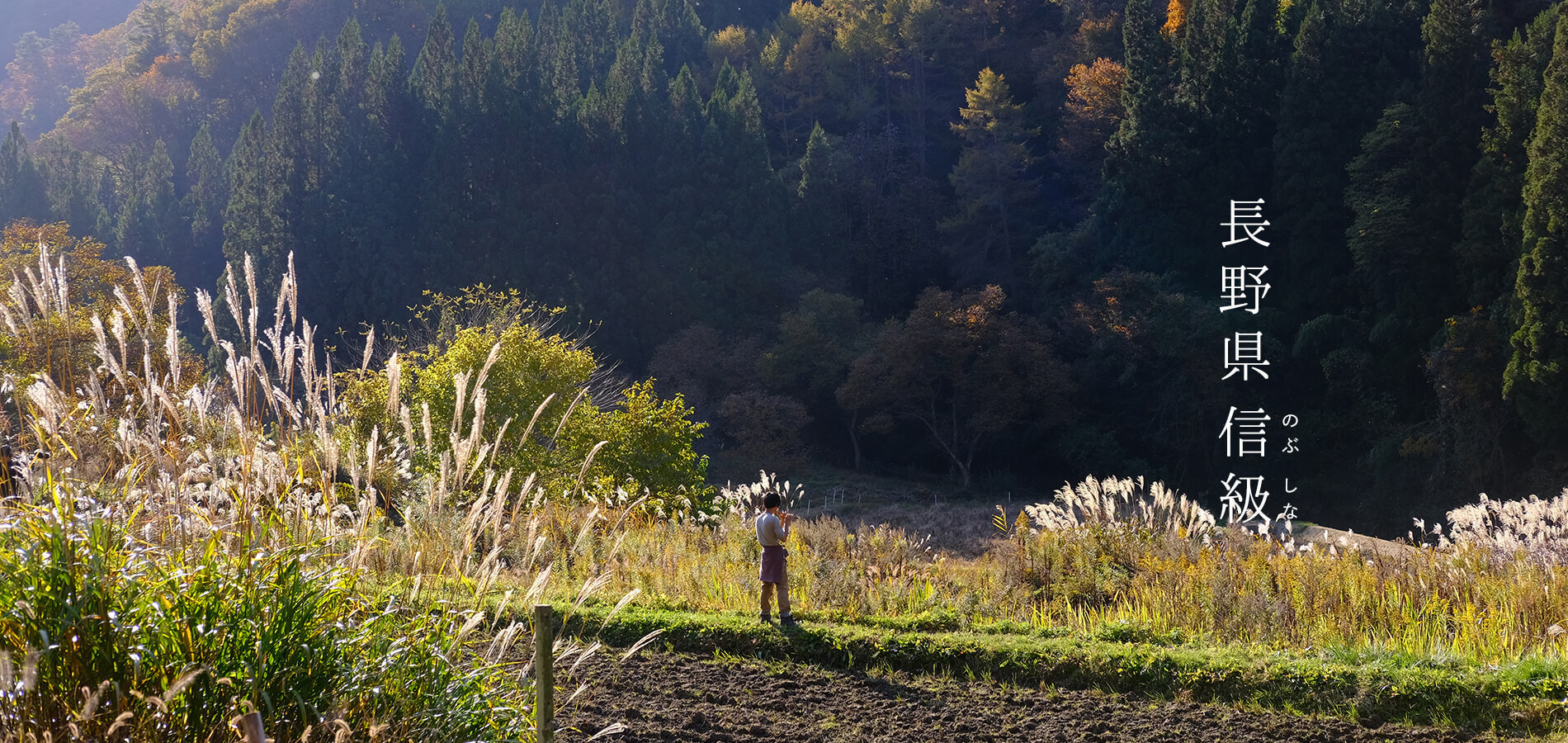 風の映画舎｜田代陽子監督作品｜長野県信級