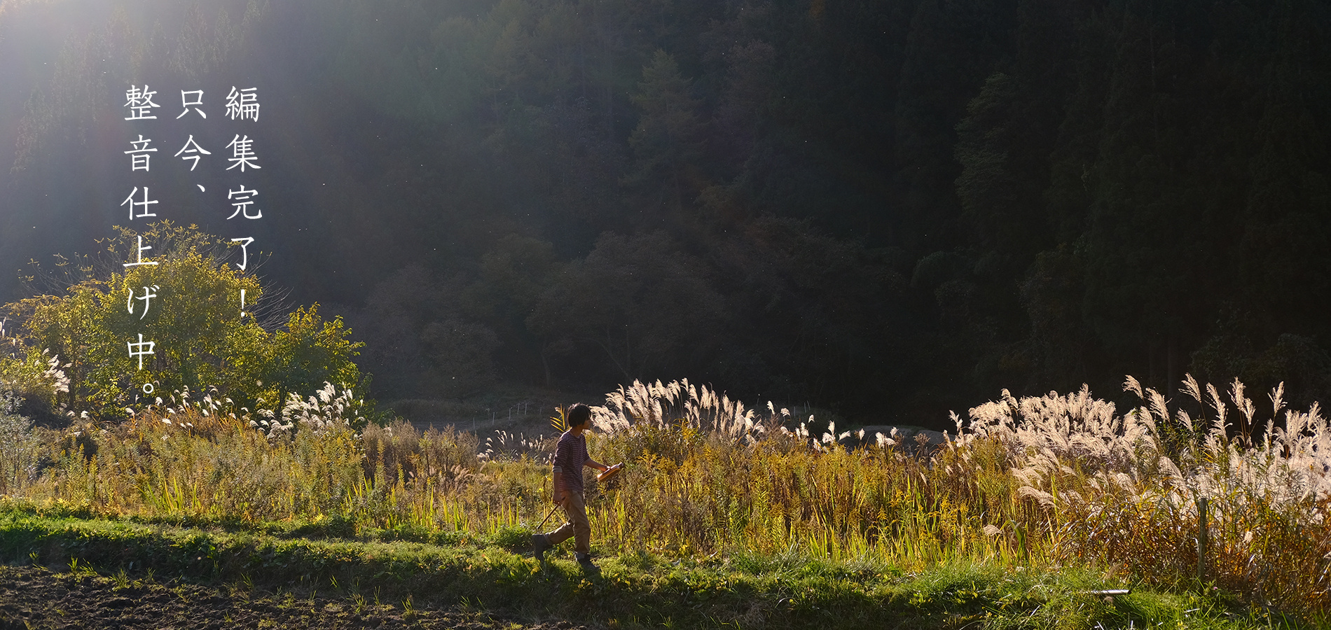 風の映画舎｜田代陽子監督作品｜長野県信級